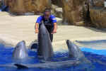 SeaWorld0127.jpg (55422 bytes)