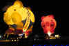 CRW_9831.jpg (42663 bytes)