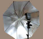 umbrella1.jpg (87363 bytes)